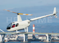 Robinson R44